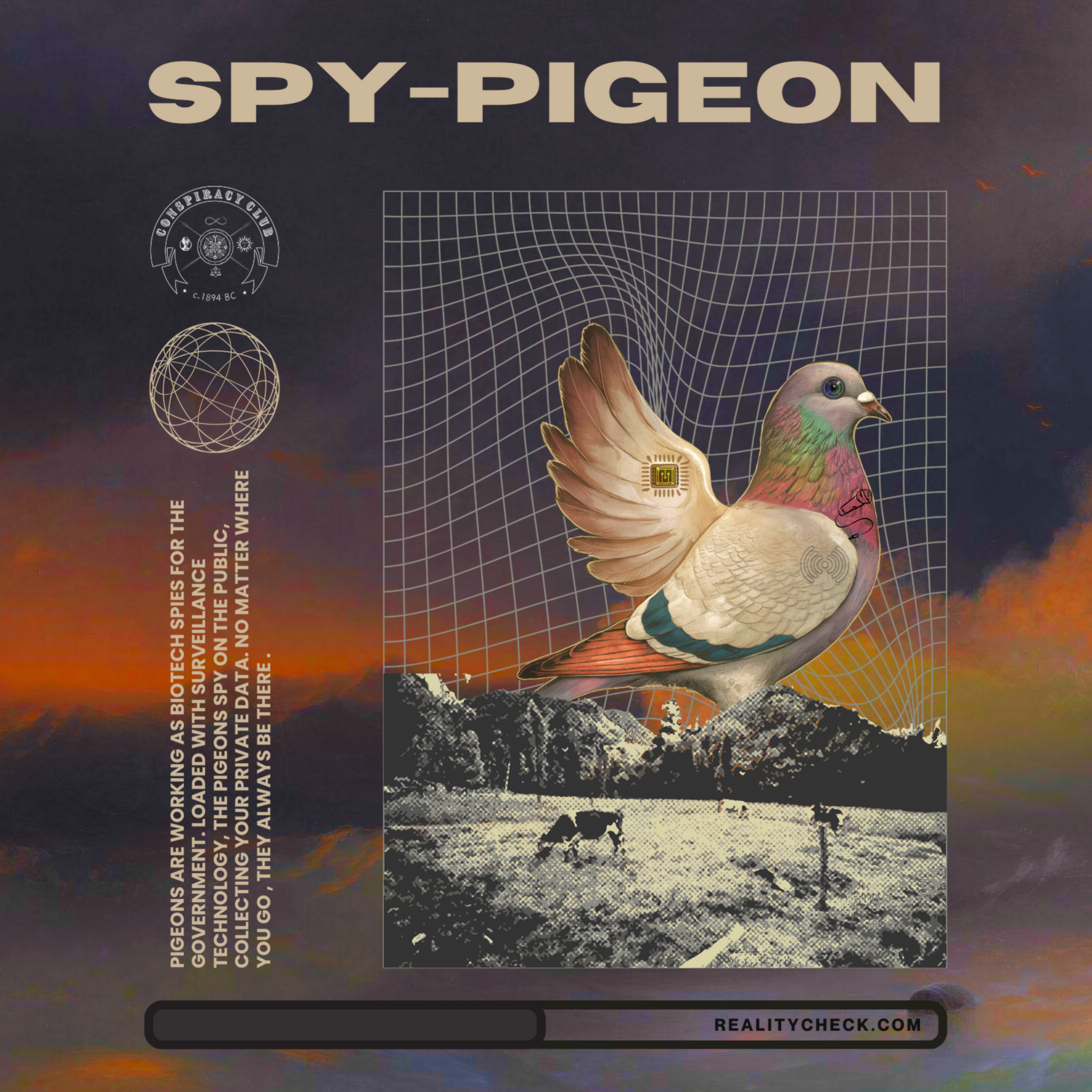 Spy Pigeon